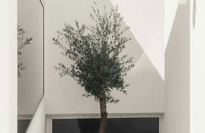 Casa da Fe by Boutique Algarve Design Villa - Foto 43