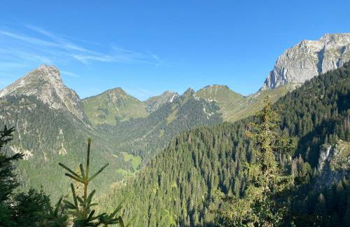 Appart 8 pers ac Jacuzzi portes du soleil La Chapelle-Chatel - Photo 26