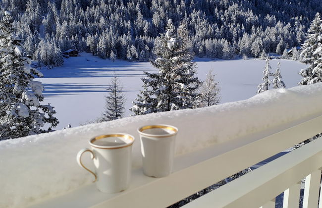 Alpes et Lac 40 - Foto 22