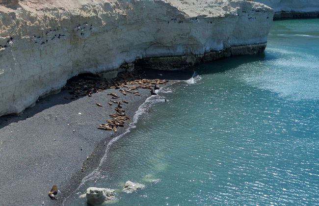 Punta Loma and Cerro Avanzado Trip - Foto 1