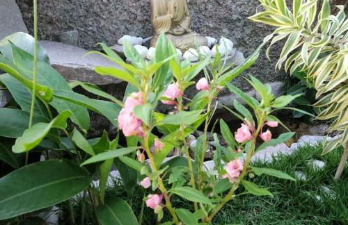 Chalé romântico, com vista panorâmica, para Casais - Foto 21