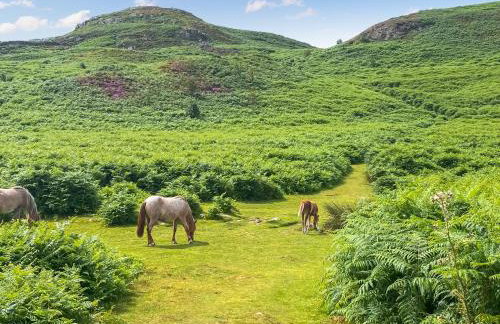 1 Bronrallt - Foto 26