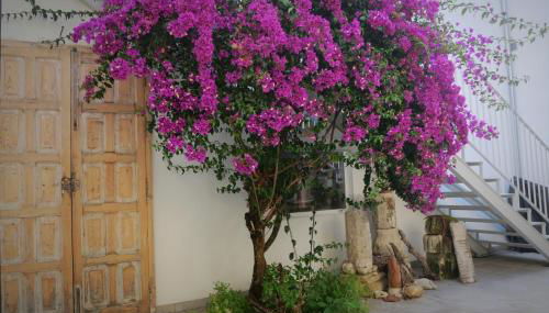 Casa de la Fra - Foto 3