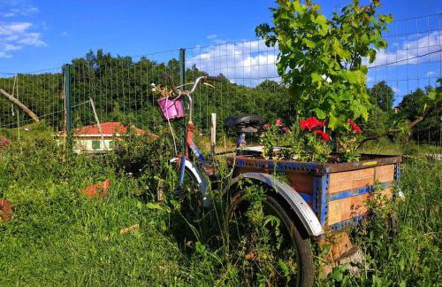 Eftychia’s home-Σπίτι με θέα τη λίμνη Πλαστήρα - Photo 47