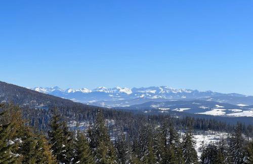 Górskie Siedlisko - 3 Chaty - Foto 62
