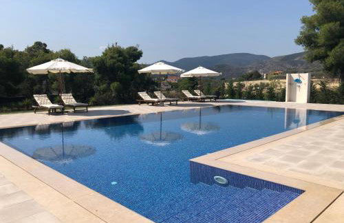 Villa Kleopatra - Foto 1