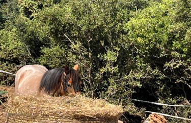 The Farmhouse - Photo 19