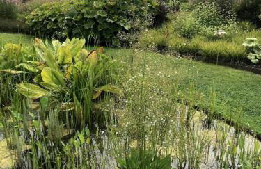 Catherine Hill House Grade 2 Listed Apartment, Frome - Foto 43