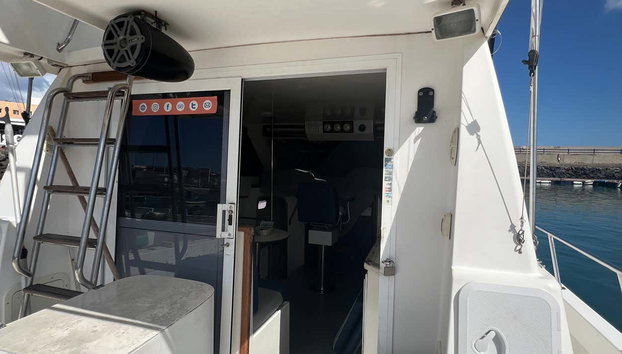 Paseo en barco con avistamiento de cetáceos por Corralejo - Foto 4