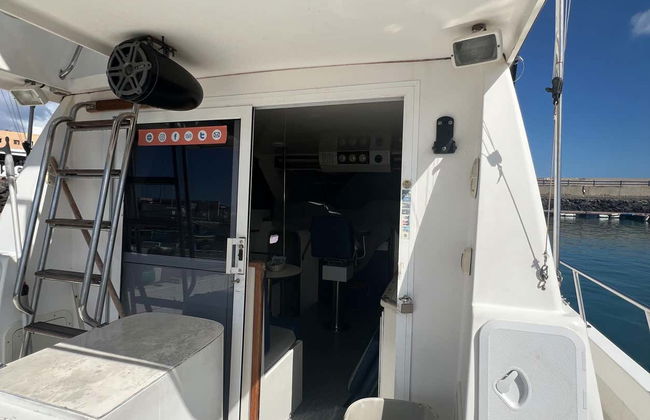 Paseo en barco con avistamiento de cetáceos desde Corralejo - Foto 5