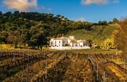 La Escribana - Photo 61