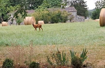 Gîte le Maine - Foto 6