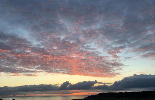 Les Palmiers - Foto 27