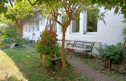 Casa Verde Sinnerthal - Foto 44