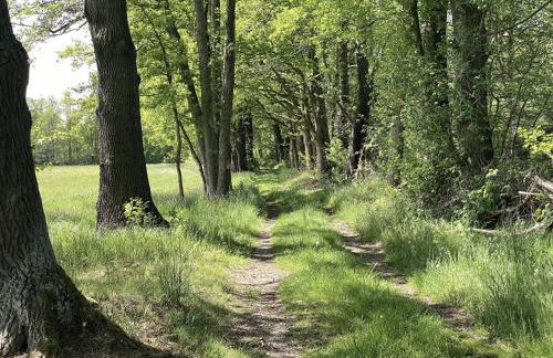 Fontanehof - Foto 10