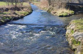 Holly-WOOD Allgäu Ferienwohnung - Foto 9