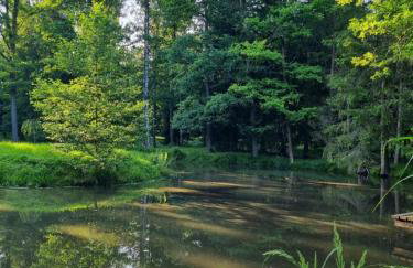 Apartament na Leśnym Zaciszu - Foto 22