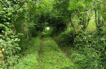 Vivienda Vacacional Ángel Inguanzo - Foto 61