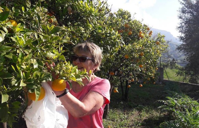 La Maison de Noélie - rez de jardin - Foto 12