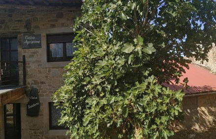 Apartamento La Agripina - Foto 9