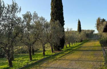 Melarancio Home - Foto 44