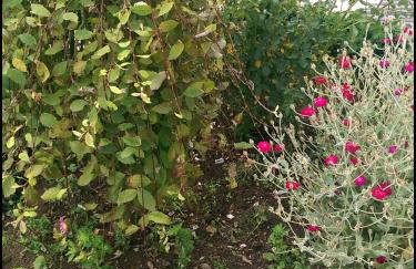 House Nada - Foto 24