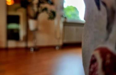 Tara - Ruhige Oase nahe Frankfurt am Main - Foto 31