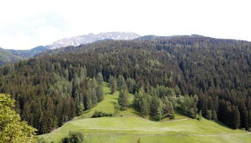 Schweinsteghof Urlaub auf dem Bauernhof - Foto 3
