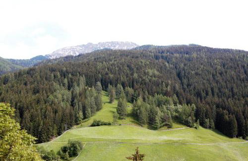 Schweinsteghof Urlaub auf dem Bauernhof - Foto 3