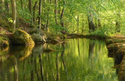 Guest House near Coast - Foto 36