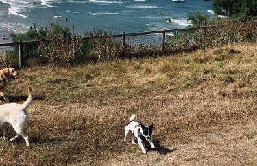 Howard Farm Holiday Cottages - Foto 39