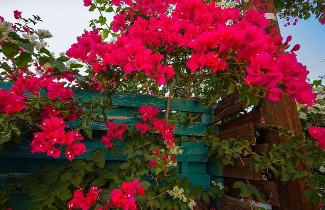 Estia Anogaia Cottage - Foto 22