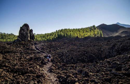 Sagittarius Home - Foto 23