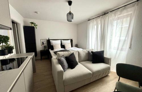 Beautiful Renovated Apartment in Lorrach - Photo 5