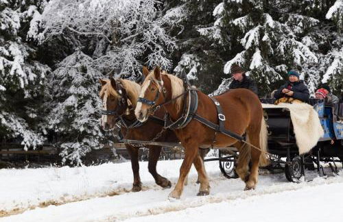 Ferienhof Am Holderbusch - Foto 8
