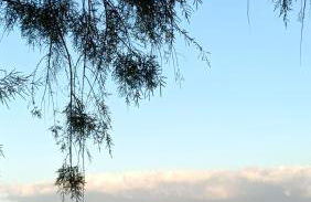 Karavaki apartments - Photo 38