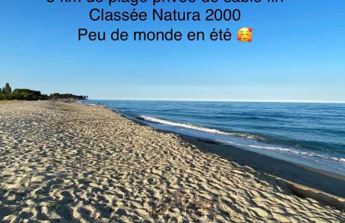 Les pieds dans l eau de Betty Ghisonaccia plage 50 m - Foto 4