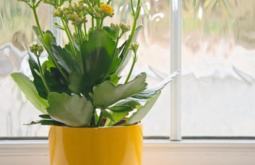 Down Ende House Accommodation - Foto 14