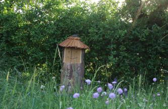 Ferienhof Engel - Foto 13