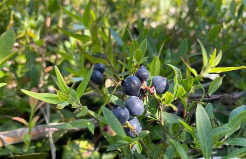 This Old House - Foto 14