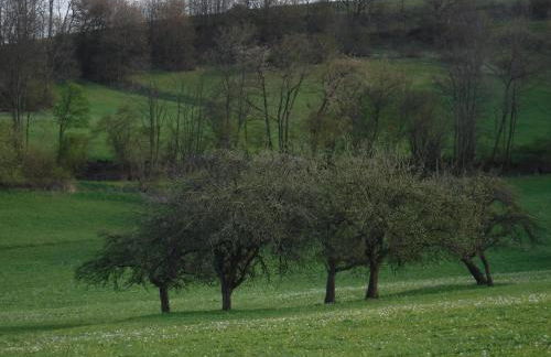 Ferienwohnung Mondfänger - Photo 25