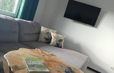 Agroturystyka "Apartament na wsi" Bory Tucholskie - Foto 10