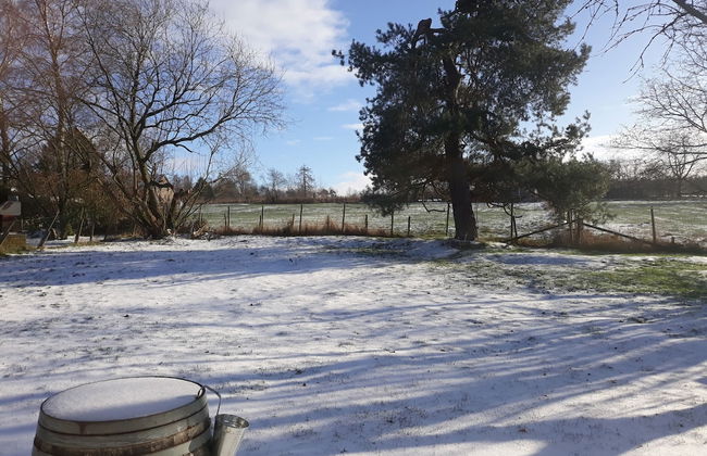 Holiday Home 'ardennes Blue' in Theux Near Spa - Photo 30