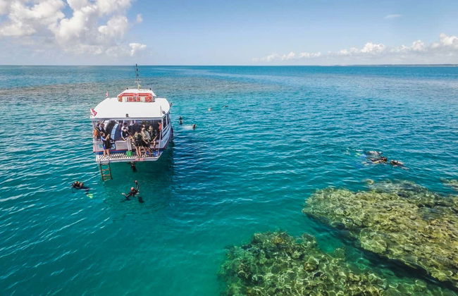 Baptême de plongée à Porto Seguro - Photo 1