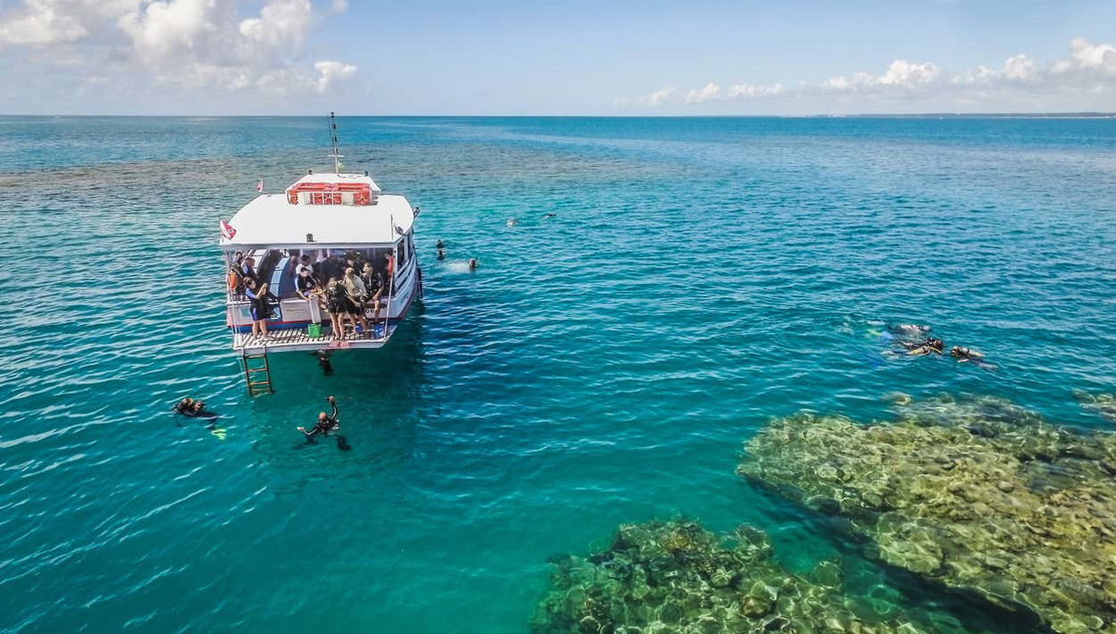 Porto Seguro Intro to Diving - Foto 1