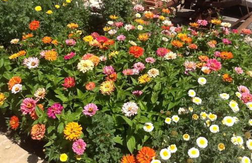 Casa Rural Caseta de l' Hort - Foto 49