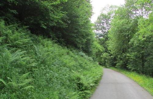 Ferienwohnung in Schiltach - Foto 27