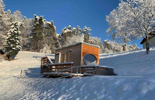 Garnecker Galloways - Foto 30