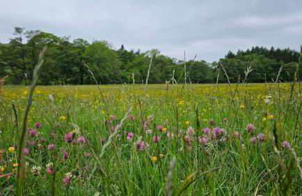 Folly View - Private, peaceful apartment with stunning views. - Foto 53