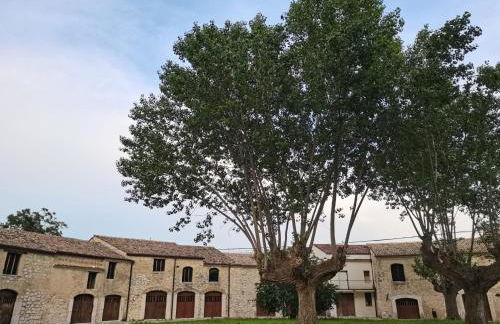 Domus Lineker - Foto 48